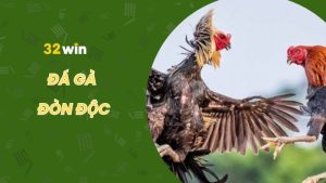 Tổng hợp các thế đá gà đòn độc nguy hiểm nhất