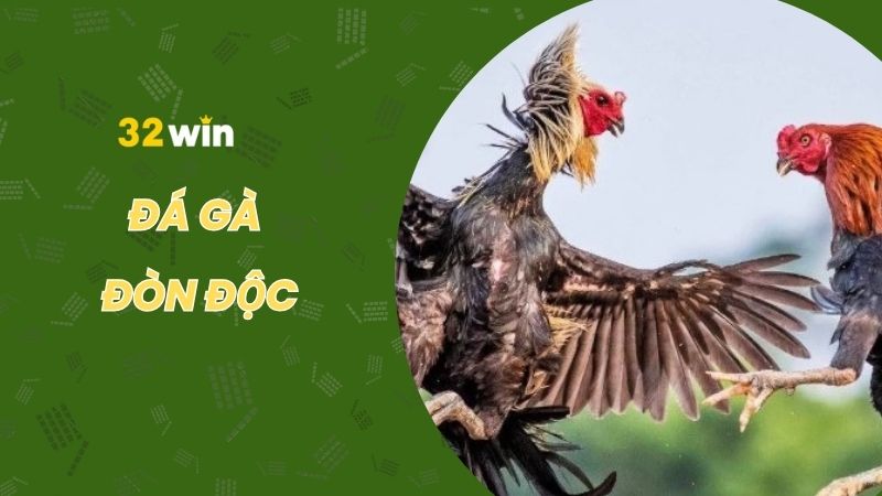 Tổng hợp các thế đá gà đòn độc nguy hiểm nhất
