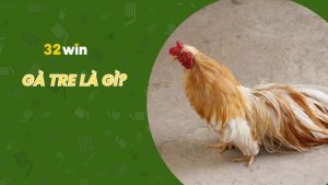 Tìm hiểu giống gà tre là gì và cách phân biệt